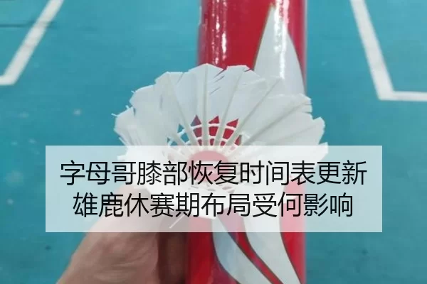 字母哥膝部恢复时间表更新 雄鹿休赛期布局受何影响