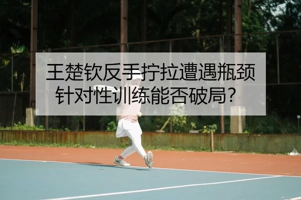 王楚钦反手拧拉遭遇瓶颈 针对性训练能否破局？