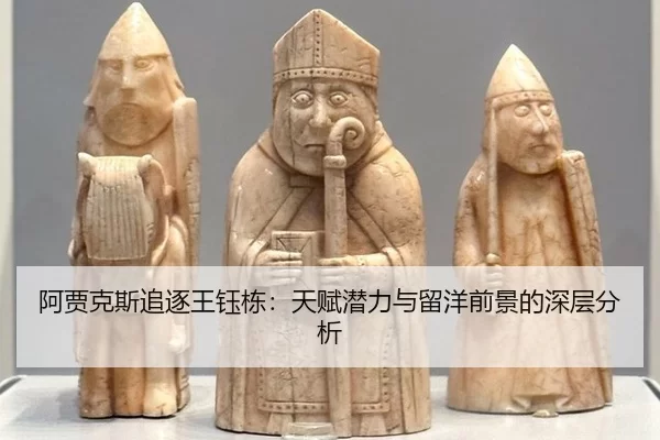 a-jia-ke-si-zhui-zhu-wang-yu-dong-tian-fu-qian-li-yu-liu-yang-qian-jing-de-shen-ceng-fen-xi-2-977.jpg